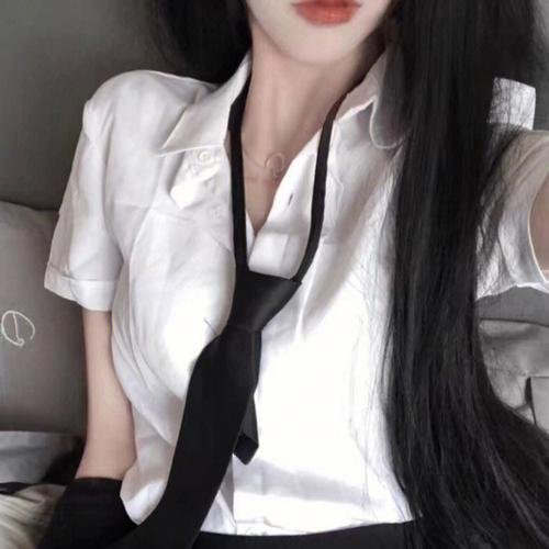 猫咪情缘